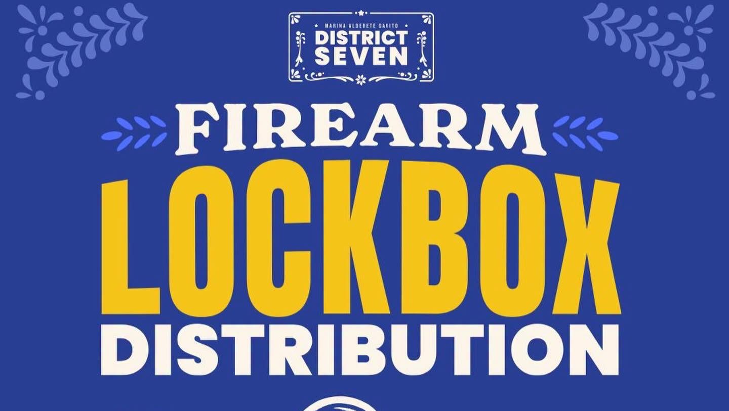 Fire Arm Lock